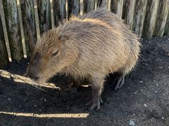 アロハガーデンたてやま・入園券】南国の楽園にもっとも近い県内最大規模の動植物園/アロハガーデンたてやま - じゃらん遊び体験