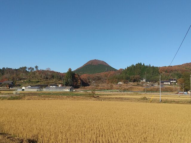 X^WIYOU̍rˎR̓eʐ^2