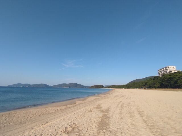 ���������l�Ə�������ۓI_���P�l�C��