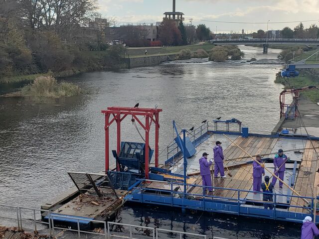 ���̕ߊl_�C���f�B�A�����ԁi�T�P�̕ߋ��ԁj