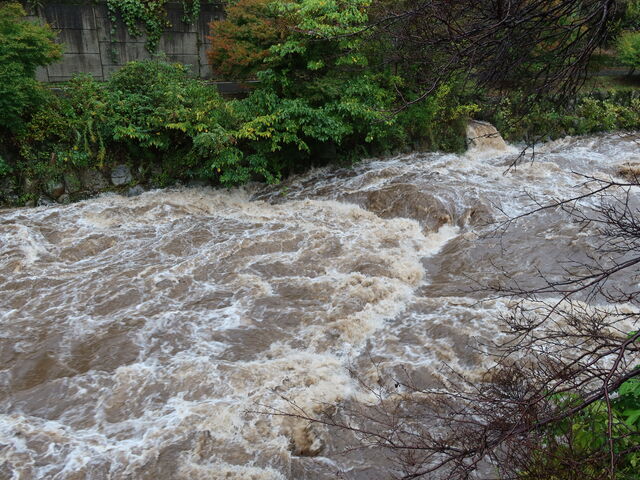 ���𗬂��삪�I_���̉w���킭����