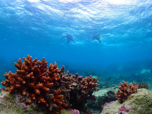 �����ς炵���X��B�Ƀ��N���N�I_marine house ��܂񂮂��`