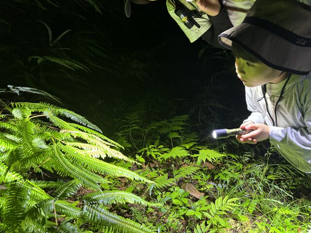 ���������[�I�Ǝq���������������Ă��܂����B_�l�C�`���[�c�A�[ ��܂܁[��Ί_��