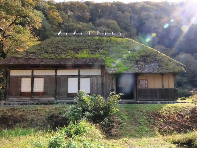 Ƃ񂳂̋܏\Ƃ̓eʐ^4