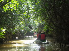 ̃GRcA[vJvJւ̓eʐ^1