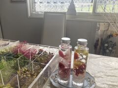 䂤񂳂Salon@de@Airiւ̓eʐ^1