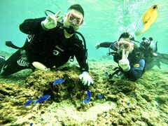 rebirth2004̕ւ̓eʐ^1