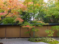 jR񂳂̈bώRւ̓eʐ^1