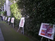 �T���v������̑��c�t�C�̕�̓��e�ʐ^3