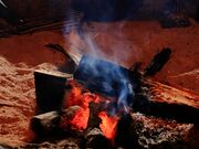 Ƃ񂳂̋JƏZiÔԏՁj̓eʐ^4