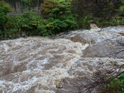 yosshy̓̉w킭ǂ̓eʐ^3