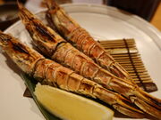 yosshy̏{݁@X̓eʐ^4