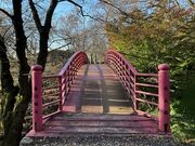 Shota����̏t����Ղ̓��e�ʐ^1