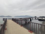 LY̊CViCvi[hj̓eʐ^1