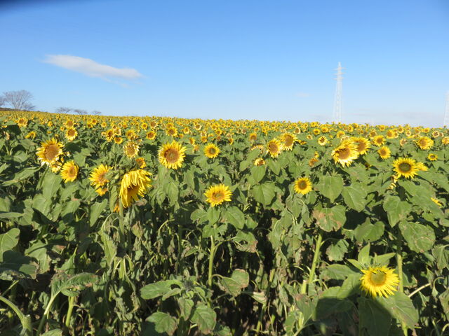 �ό��_���ԂЂ��