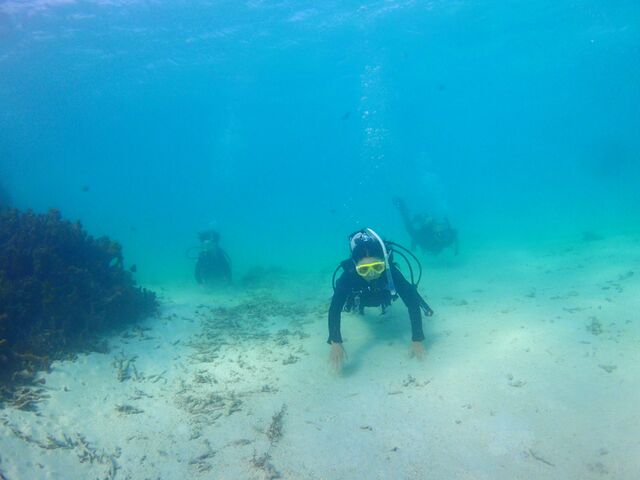 �C��U���́@������������_marine house ��܂񂮂��`