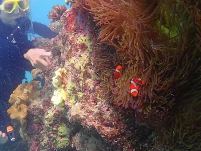 �N�₩�ȉB��j�������@����_marine house ��܂񂮂��`