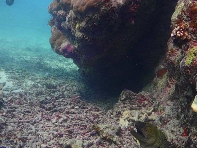 �傫���Ɂ@�т�����I�I
�E�c�{�����@����ɂ���_marine house ��܂񂮂��`