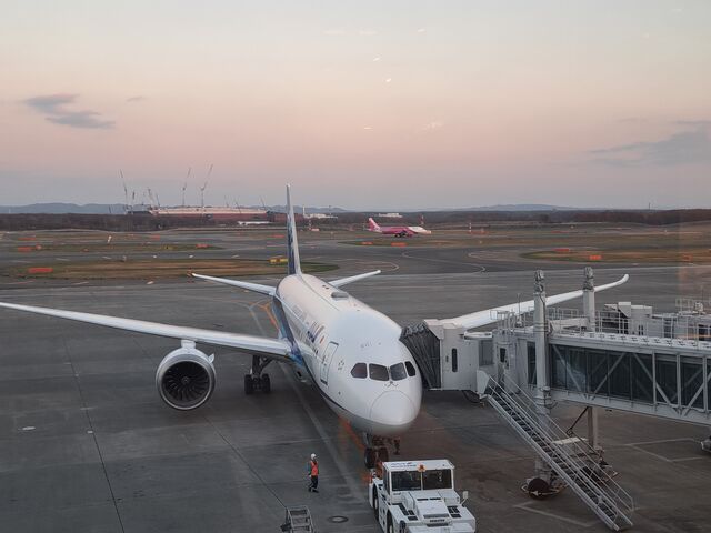 �W�]�f�b�L����_�V��΋�` �W�]�f�b�L