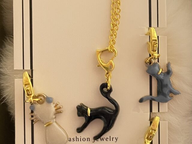 4��ނ̔L������1500�~���炢�ł��B_�ی�L�J�t�F�@�Ђ��܂荆