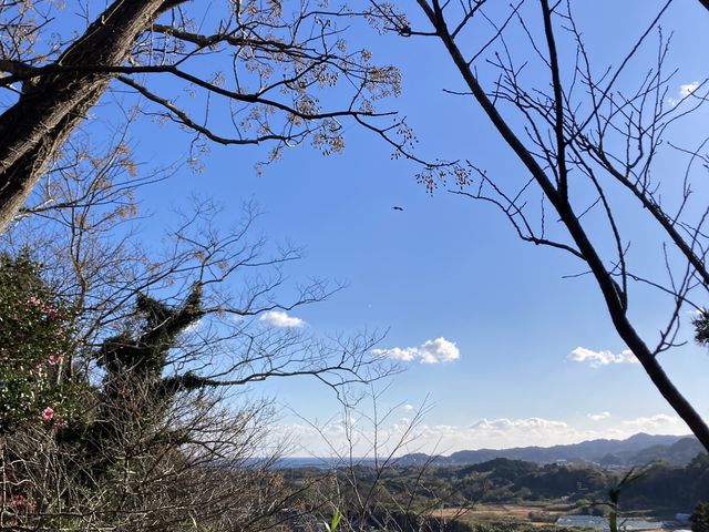 ����Ō����炵���ǂ�_��q�I�����W�Z���^�[�@�I�����W���L�����v��