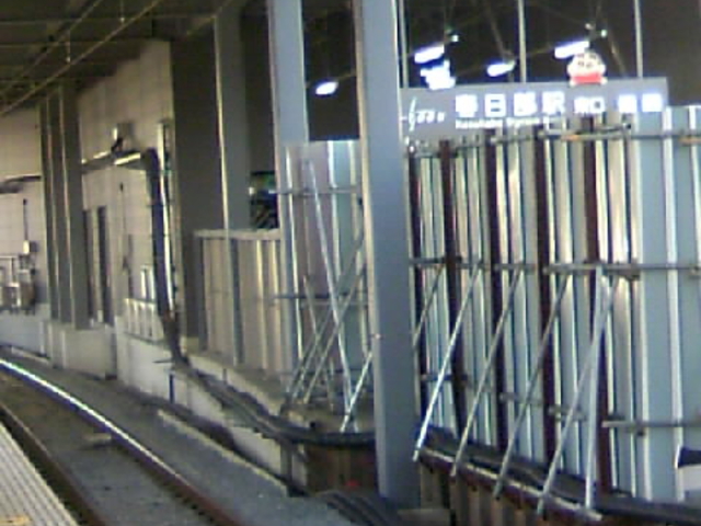 �V�z�[���Ɖ��D�I_�����S���t�����w