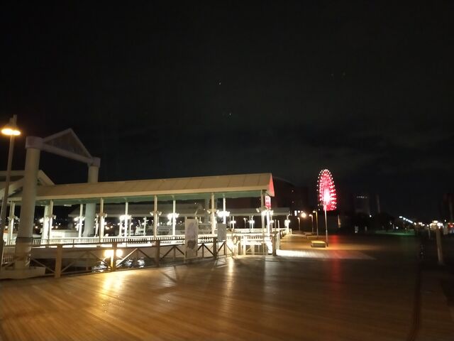 �V���Ɗϗ��Ԃ̖�i_���փO�����h�z�e��