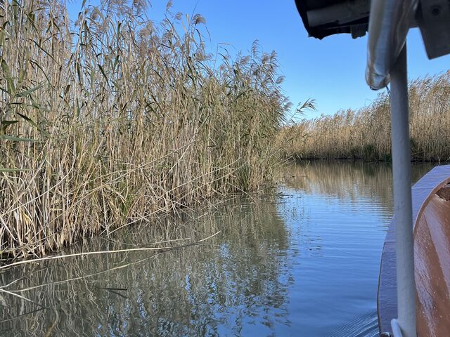 �葆���̑D��\��(�ݐ؂ɂ��܂���)_�����߂���(�����̂��Ɓ@�܂���)