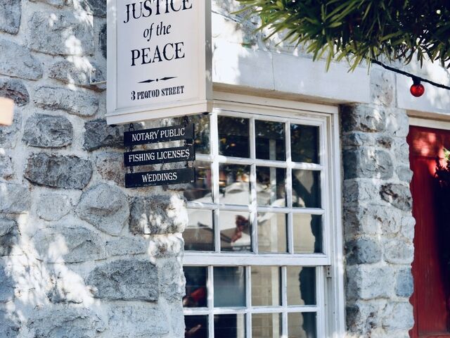 ����Ȑ؂���ʐ^�����܂ɂ́c�����Ǝv���܂���B_�����f�B�Y�j�[�V�[(R)