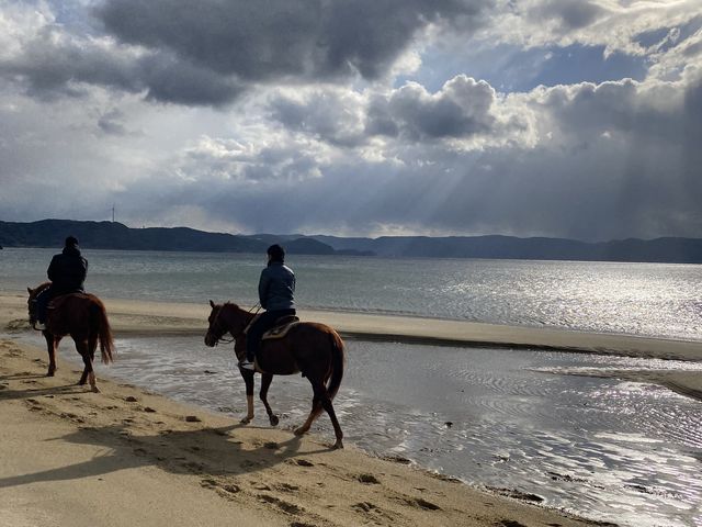 �ǂ̋G�߂ł��y���߂܂��I
�ق�Ƃɂ��ƂȂ����������n����Ȃ̂�
�����n�łȂ������ʐ^��������I_�V�[�r���[�����`