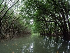 sarushi22̐Ί_ ADVENTURE PiPiւ̓eʐ^1