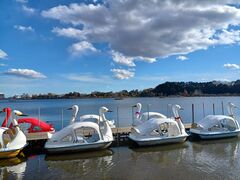 �̂�䂫����̐�g�����ւ̓��e�ʐ^1