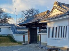 �̂�䂫����̍O���ٌ����ւ̓��e�ʐ^1