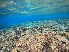 Ί_ ADVENTURE PiPi̎ʐ^2