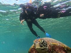 ninjyãI[X[Vm[P{Óւ̓eʐ^1