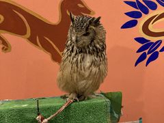 ς̃ANAtHXg@-̐X-ւ̓eʐ^1