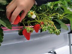 񂿂񂳂Lien Ferme(_)ւ̓eʐ^1