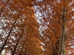 ܂̃^ZRCA؂ւ̓eʐ^1