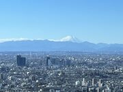 Ȃ񂳂齏   TVC60X̓eʐ^1