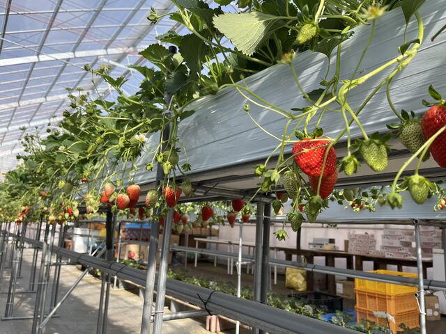 �������񂠂�A�I�ѕ���ł��I_�����݂̗��������̉�