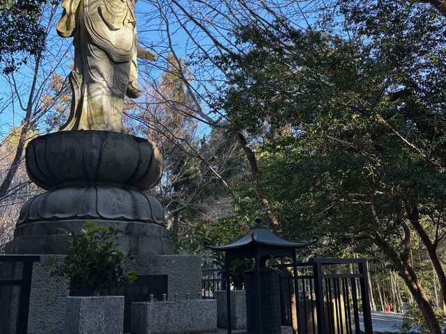 �~�h������̑��_�Ђ̓��e�ʐ^5