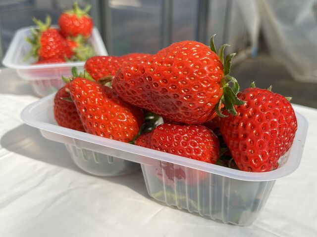 �嗱_�X�t�@�[���T�[�r�X