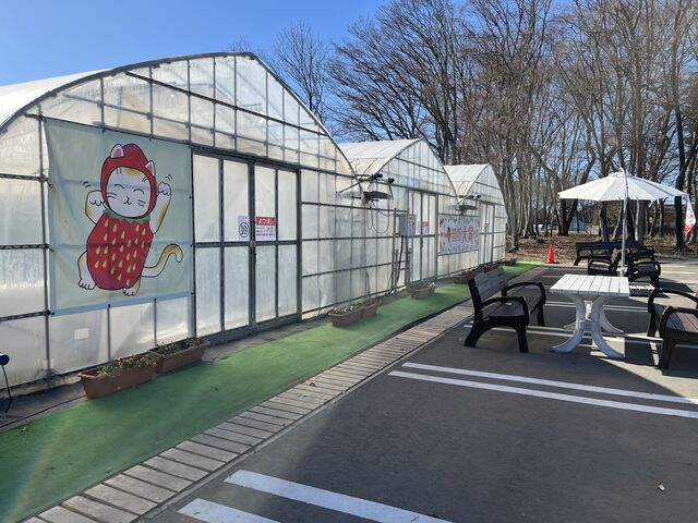 �L�����J���C�C_�X�t�@�[���T�[�r�X