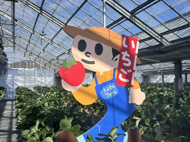 �v�킸�B�肽���Ȃ����Ⴄ�Ŕ�_�Ƃ悳��t�@�[����������