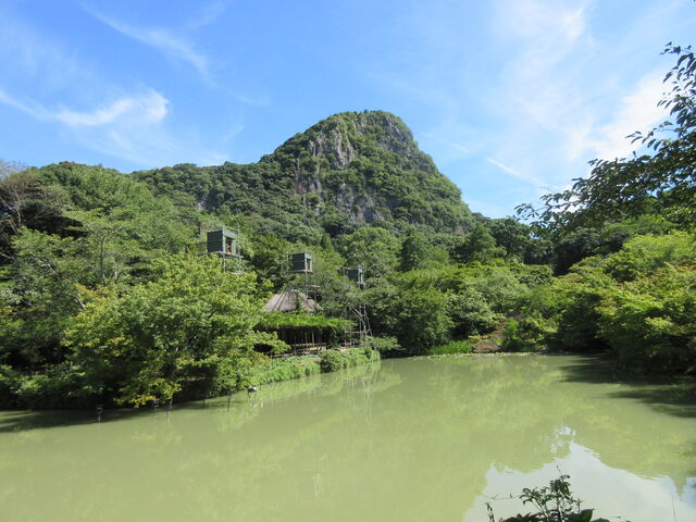 �ꌧ���Y�s�E��D�R�y������u��D�R�v��]�ށi�������B�e�j_��D�R