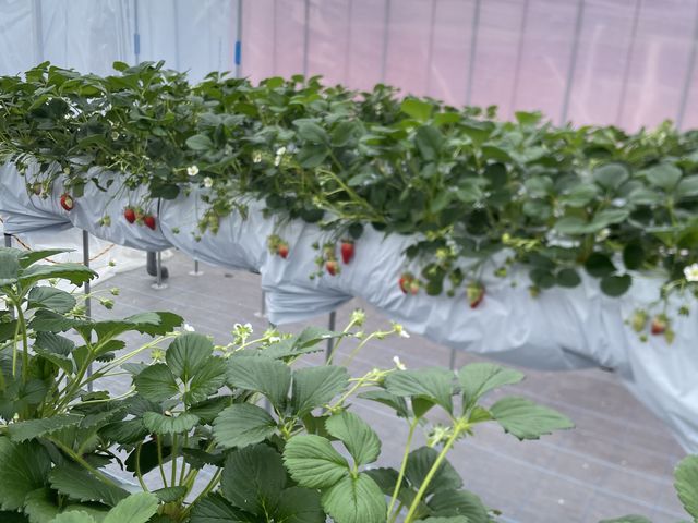 ���ꂢ�ȃn�E�X_�^�i�X�g�x�[�X