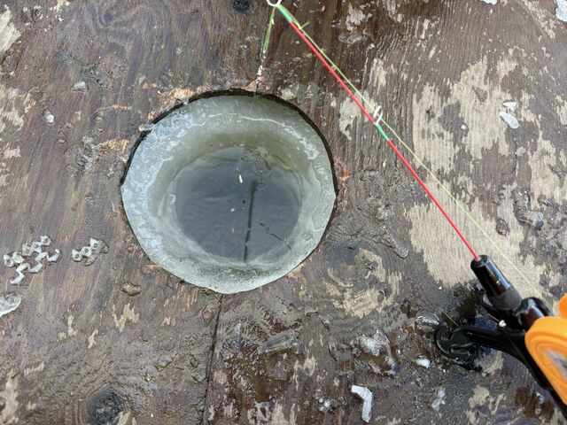 ���ɗ�����S�z���Ȃ��ł����_�Ƃꂽ�����ӂ����_��