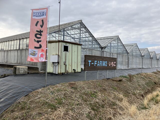 ���X�̎ʐ^�ł��B_T-FARM 2���X