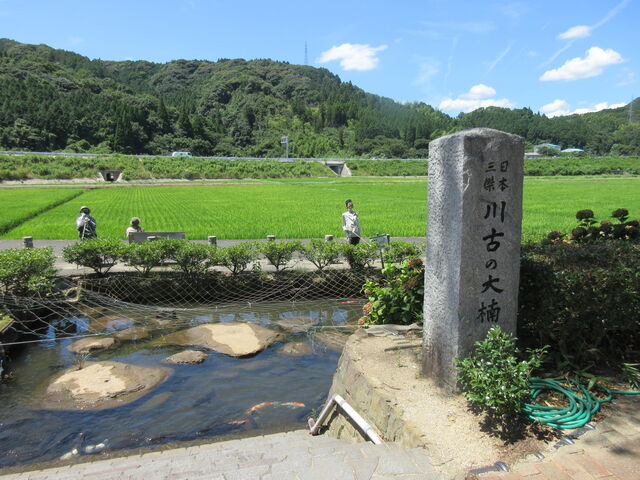 񂳂̐Â̑@גق̓eʐ^3