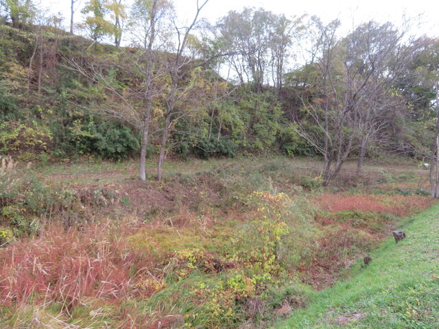 ��ˏ��_��ˏ��